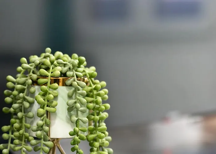 Apartmán Heart Of - The Gem *